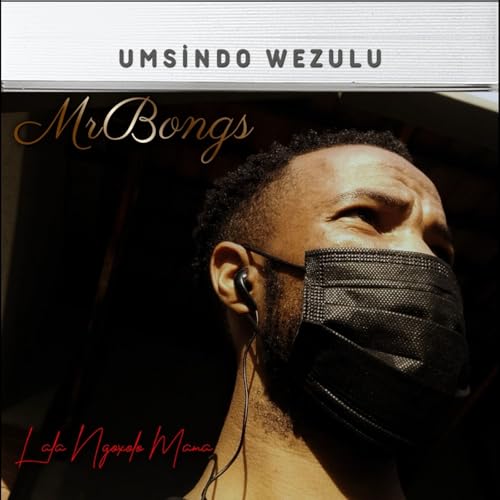 Umsindo weZulu