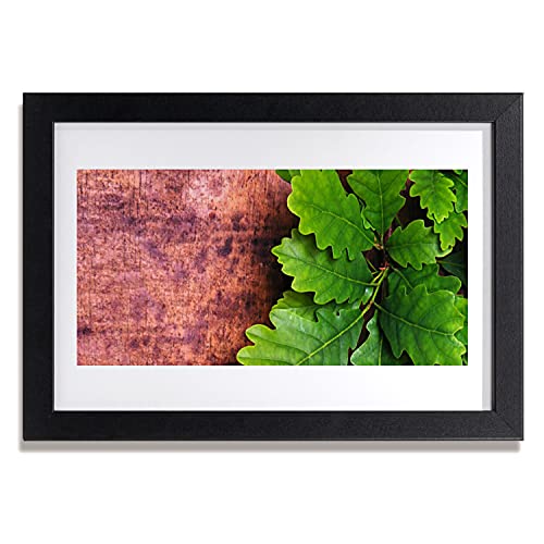 Feuilles de chêne affiche encadrée pour salon et chambre - Image murale arbre 30x20
