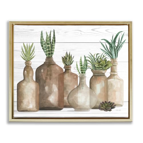 Succulents Vases Jars Botanical, 24 x 30 Inch Canvas in Floater Frame