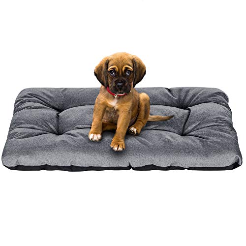 Hundekissen SuperKissen24 – Hundebett und Hundematratze im Vergleich