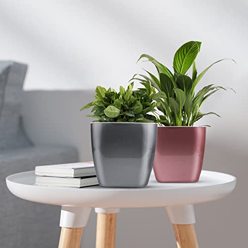 Hemoplt Plant Pots - Self Watering Pots For Indoor Plants - Planters For Indoor Plants - Pack Of 6 5" & 7" African Violet Pots - Orchid Pots - Champagne Gold - Silver - Rose Gold #TOP3