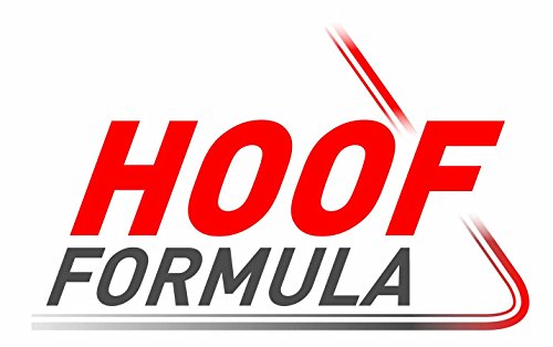 Biotin für Pferde - Zusatz-Futter für Pferde mit Zink, Vitamin B6, Lysin - 5kg Eimer Hoof Formula für ca. 200 Tage - Biotin-Pellets für starke Hufe - Ergänzungsfutter für Pferde