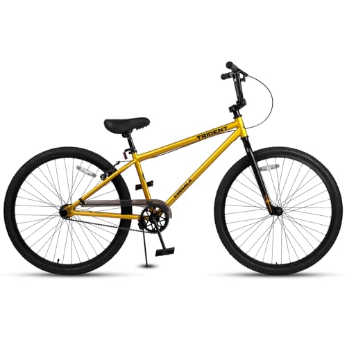 cubsala 24 Inch BMX Race Bike