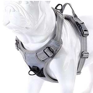 Truelove Soft Front Dog Harness .Reflective No Pull Harness with Handle and 2 Leash Attachments Gray