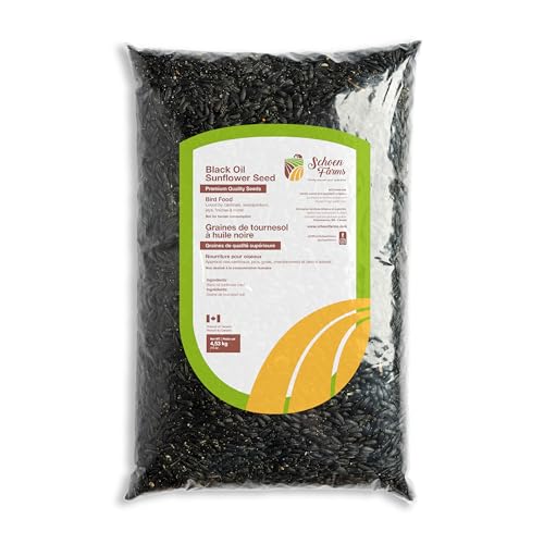 Schoen Farms Black Sunflower Seeds for Birds (10 LBS)