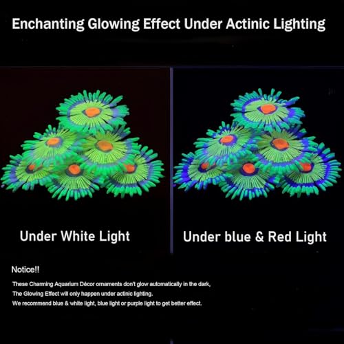 Image of ZtohPyo Glowing Effect Fish Tank Aquarium Decorations, Artificial Silicone Plants Ornaments for Fish Tank Landscape Decor Glow in The Dark Soft Anemone for Small Fish Bowl Decor