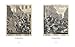 William Hogarth: Visions in Print