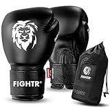 FIGHTR® Profi Boxhandschuhe aus echtem Leder | Männer und Frauen | für Boxen, MMA, Muay Thai, Kickboxen & Kampfsport 10 12 14 16 oz | inkl. Tragetasche (Schwarz, 14 oz)