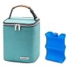 BABEYER Breast Milk Cooler Bag with Ice Pack Fits 4 Baby Bottles Up to 9 Ounce, Baby Bottle Bag for Nursing Mom Daycare…