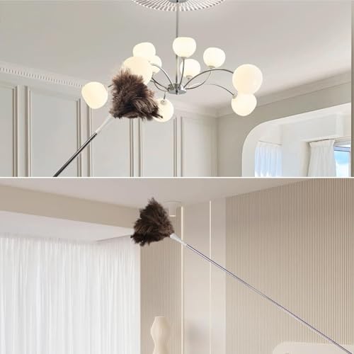 Image of Feather Duster, Ostrich Feather Duster Replacement Head, Reusable Ostrich Feather Duster, Brown (Replacement Head Only)