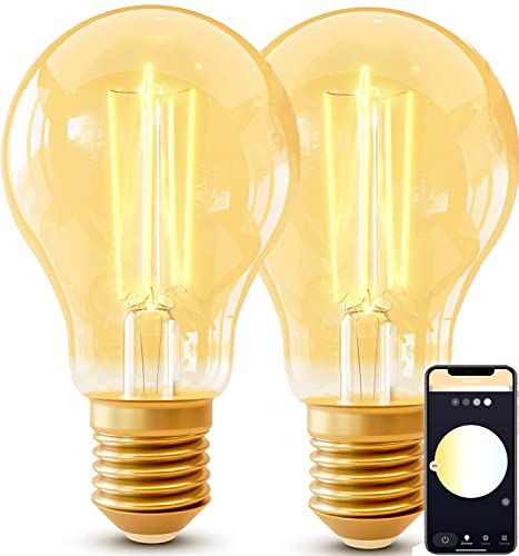 Woox Smart Vintage Light Bulb E27 Edison WLAN Lámpara retro Blanco cálido Regulable 2700K-6500K 4.9W 470lm Bombilla decorativa retro Compatible con Alexa/Google Home, ideal para iluminación retro,2P Cover