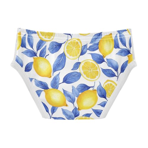 Wusikd Lemon Blue Leaves Boys' Underwear Cotton Yellow Boys Briefs Soft Toddler Underwear 2T2