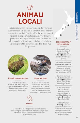 Nuova Zelanda (Aotearoa) - 9