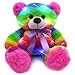 The Noodley 14" LED Light Up Rainbow Teddy Bear with Timer Colorful Stuffed Animal Night Light Kids Gift and Birthday Present Gifts for Girls Age 3 4 5 6 Years Old … (Without Batteries)