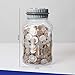 DISCOVERY KIDS Digital Coin-Counting Money Jar with LCD Screen, Keeps Track of Deposits, Battery Operated, Automatic Piggy Bank Savings for US Coins, Childrens Financial Educational Learning Tool Gift