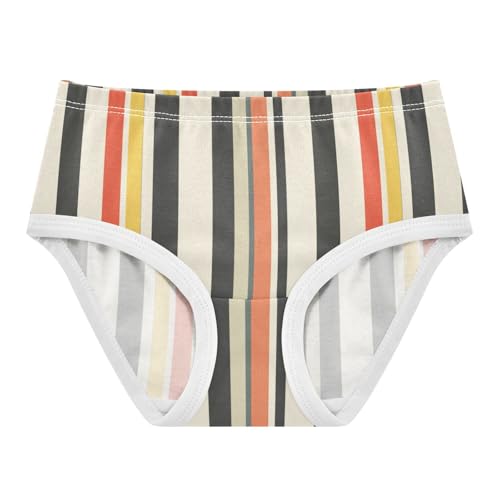 ZZKKO Vintage Stripes Boho Girls Underwear Toddler Panties for Girls Comfort Brief Size 2-8T