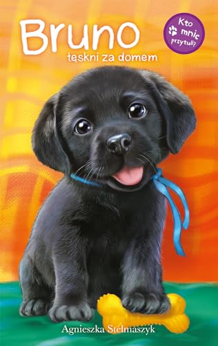 Bruno teskni za domem [Polish] 8328048728 Book Cover