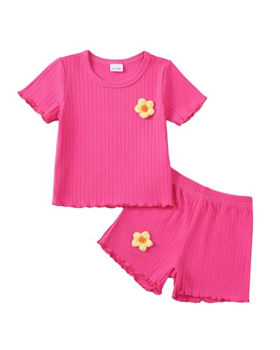 Image of Mioglrie Toddler Baby Girl Summer Clothes Toddler Girls Summer Outfits Short Sleeve T-Shirts Shorts Clothing Set 6M-3Y