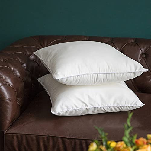 Kinnls 12 X 20 Inches Throw Pillow Insert Rectangular Cushion Lumbar Pillow Insert Decorative Pillow Form For Bed Couch Sofa Car Bench (Pillows Insert) #TOP6