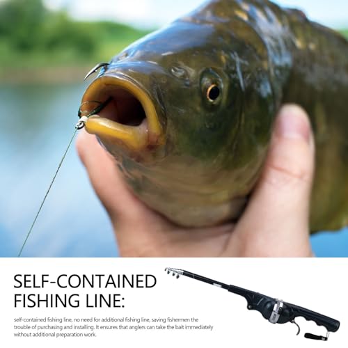 4 Porta Canne Telescopiche Da Terra – Supporto Regolabile In Alluminio Per Pesca