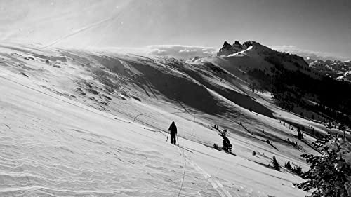 CAPiTA Mega Split Splitboard Mens Sz 157cm - Thumbnail 6