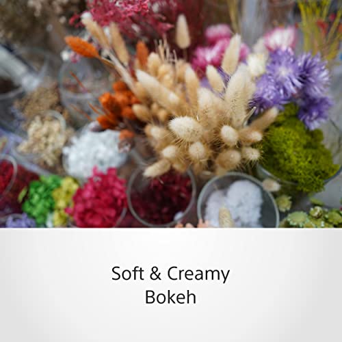 Sony SEL24F28G – Objectif fixe 24 mm F2.8 G pour plein format (série G premium, monture E, compact & léger, idéal photo & vidéo, compatible Sony A7, ZV-E1, A6000 & ZV-E10)