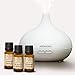 Diffusore di Oli Essenziali con Set di Oli Essenziali per Aromaterapia 3x10ml - Lavanda - Menta piperita - Eucalipto - Umidificatore Ambiente Ultrasuoni