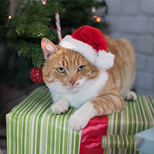Disfraz para mascota con gorro navideño rojo ajustable miniatura 2