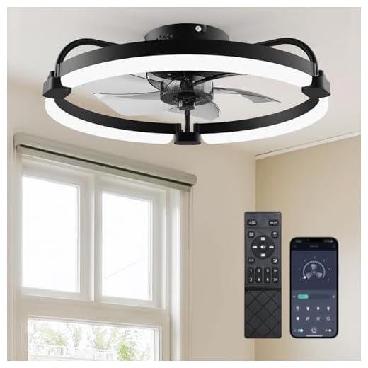 Ensenior 20 Inch Flush Mount Ceiling Fans with Lights, APP Control, Black