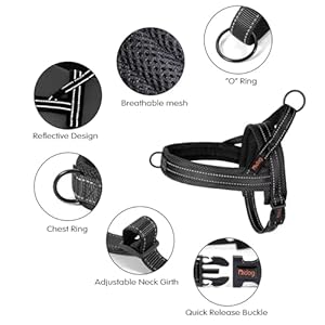 Didog soft mesh padded dog vest harnessescape proofquick fit reflective dog strap harness easy for training walking xschest 15 18 mesh black   cucciolini doodles