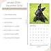 Scottish Terrier Wall Calendar 2026 | 12