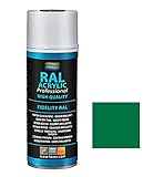 Para uso interior y exterior BOTE SPRAY 400ML DE PINTURA ACRILICA AL 100% RAL 6009 VERDE ABETO