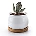 T4U 2.75 Inch Ceramic White Jar Shape Design succulent Plant Pot/Cactus Plant Pot Flower Pot with bamboo tray/Container/Planter White