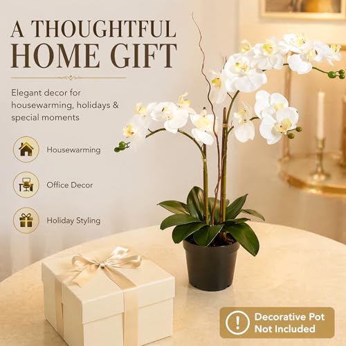 Soul Relaxation 25-Inches Artificial White Orchid Plant (Without Pot) - image 6