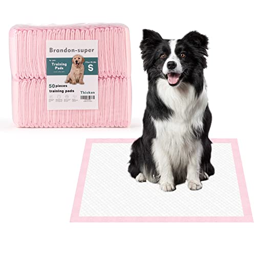 Super-Absorbent Leak-Proof Dog and Puppy Pet Training Pad, Housebreaking Puppy Pads Disposable (18