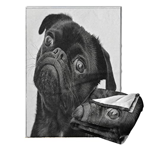 Ultra Soft Blanket Cute Black Pug Dog Throws Blanket Plush Fuzzy Lightweight Couch Sofa Bed Warm Cozy Flannel Blanket For Kids And Adults Gift 50"X40" #TOP25