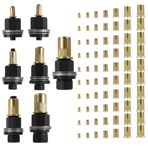 Lot de 77 pinces à écrou à riveter M3 M4 M5 M6 M8 M10 M12 Écrous à riveter en acier au carbone Écrous aveugles pour écrou à riveter Outil Machine à riveter manuelle