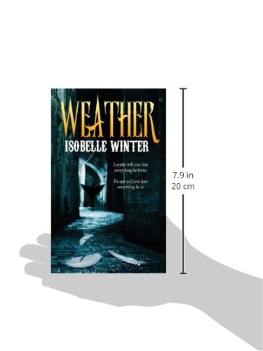 Weather steampunk buy now online Weather steampunk buy now online