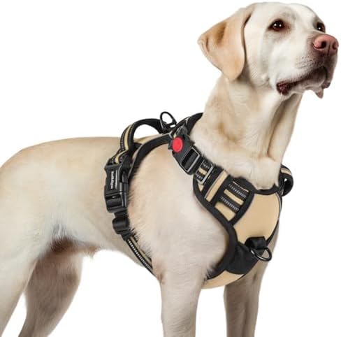 rabbitgoo Hundegeschirr Grosse Hunde Leichtes Anlegen, L, Beige | Anti Zug, Ohne Kopfdurchzug, Halsverschluss mit Sicherung, 2 D-Ringe, Weich Gepolstert, Reflektierend für Gassi &