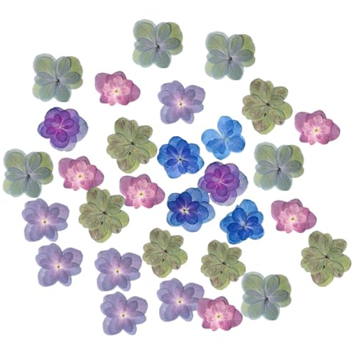 30 flores secas prensadas para manualidades DIY miniatura 1