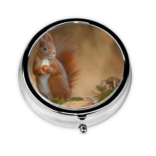  P[X Aj ~j{bNX   P[X 킢 AJX Lcl e ۂ TvP[X 򐮗P[X lbNX R lW [P[X