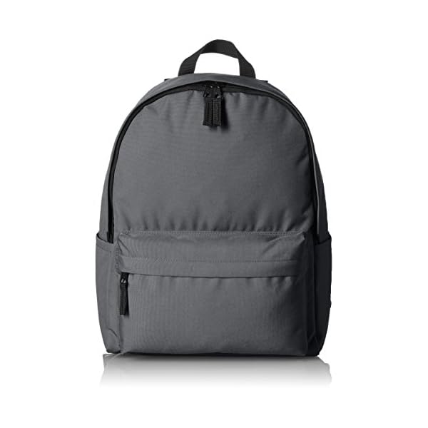 Amazon Basics Classic School Backpack with Multiple Compartments, Sturdy Construction, Adjustable Straps - Grey