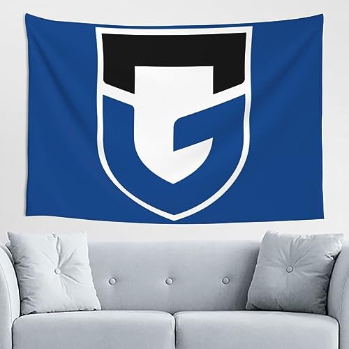 ガンバ大阪 タペストリー インテリア 壁掛け おしゃれ 吊り布 壁の装飾 アート 多機能布 大判 室内装飾タペストリー カーテン 実用的 間仕切り 部屋飾り 新築お祝い 結婚お祝い プレゼント 152×102cm