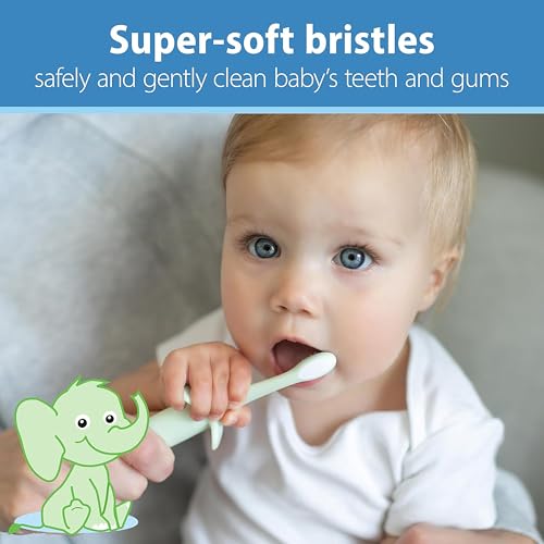 Dr. Brown's Infant-to-Toddler Elephant Toothbrush and Fluoride-Free Strawberry Baby Toothpaste Set with Apple Pear Toothpaste, 0-3 Years - image 2