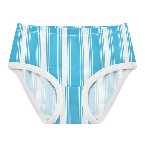 Blue White Stripe Toddler Girls's Underwear 2T 2300897