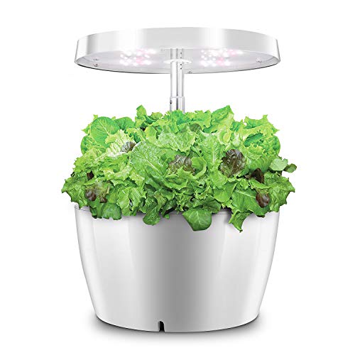 水耕栽培キット ワンワンニャー(oneone nya) 植物育成ライト付き 家庭用水耕栽培 育苗・育成 高級品 日本語取扱説明書付き（IGS-01） 6枚目