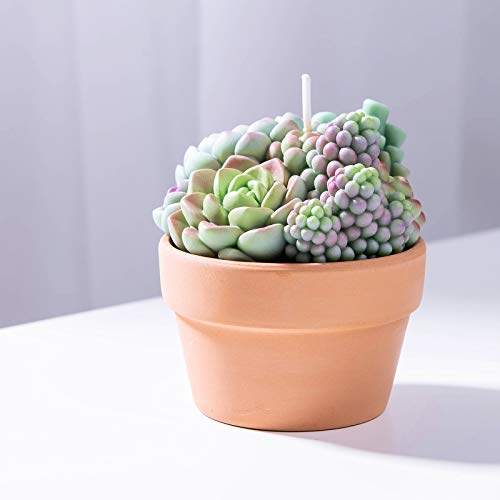 Assorted Succulent Pot Scented Candle For Spa Home Decoration Wedding Gift #TOP7