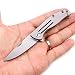 Samior TD20 Small Pocket Folding Knife, 2" D2 Satin Blade Flat Titanium Handle with Non-Locking Cutout Detent, Nick Nail Assited Opening Flipper, Compact EDC Everyday Carry Key Chain Ring Mini Knives