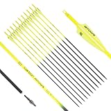S F 76,2 cm Carbon-Pfeile für Bogenschießen, Ziel-Übungspfeile mit abnehmbaren Spitzen für Recurvebogen und Verbundbogen (12 Stück), Mehrfarbig (Gelb)