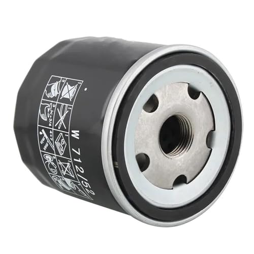 Filtros de combustible y aceite coche W712/52 para Golf IV y Polo 9N